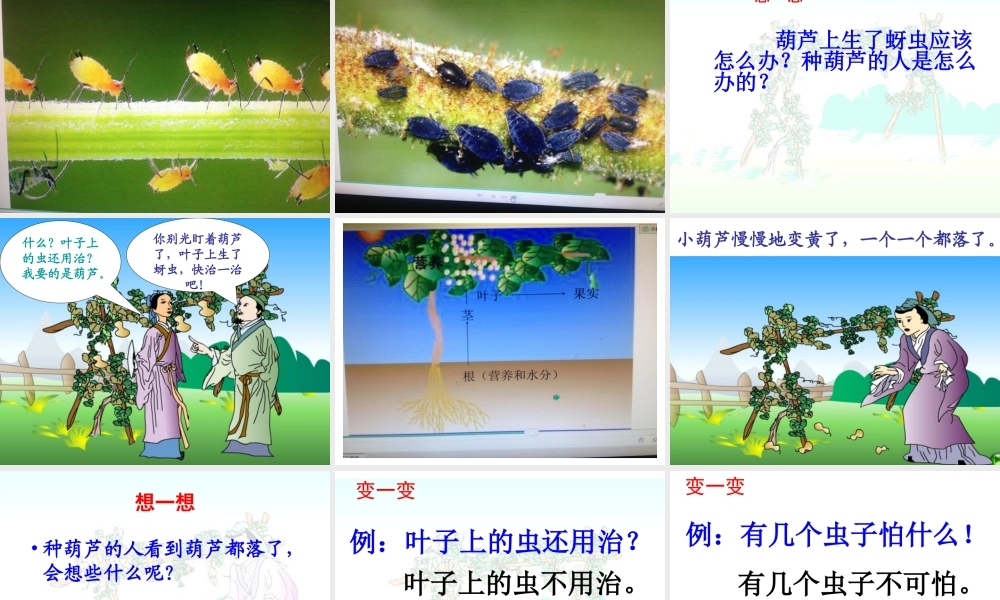 我要的是葫芦 ()