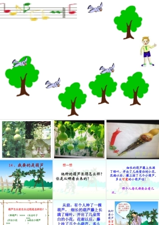 我要的是葫芦 ()