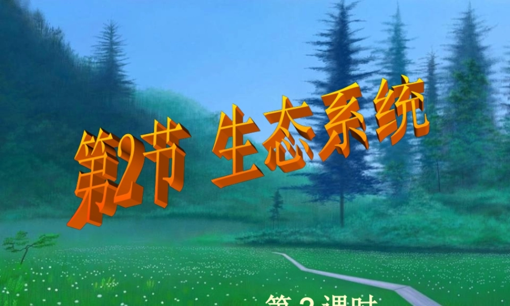 生态系统第二三课时