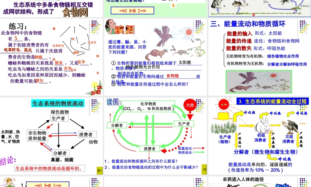 生态系统第二三课时