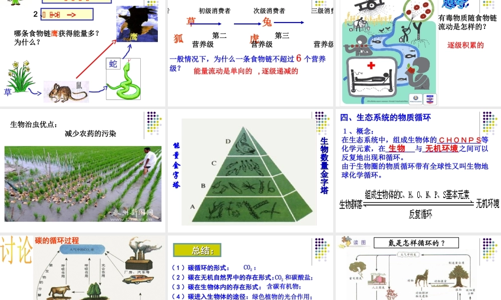 生态系统第二三课时