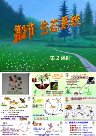 生态系统第二三课时