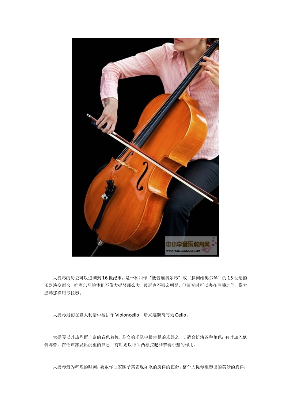 大提琴-西洋乐器介绍_第2页