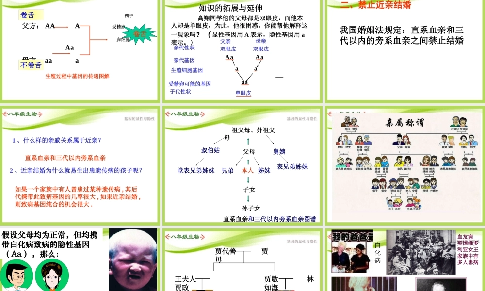 八年级生物下册_第七单元第二章第三节基因的显性和隐性课件(上课用)_人教新课标版