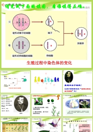 八年级生物下册_第七单元第二章第三节基因的显性和隐性课件(上课用)_人教新课标版