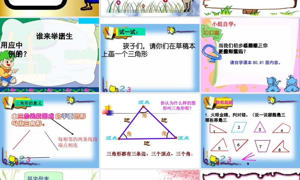 三角形的特性37