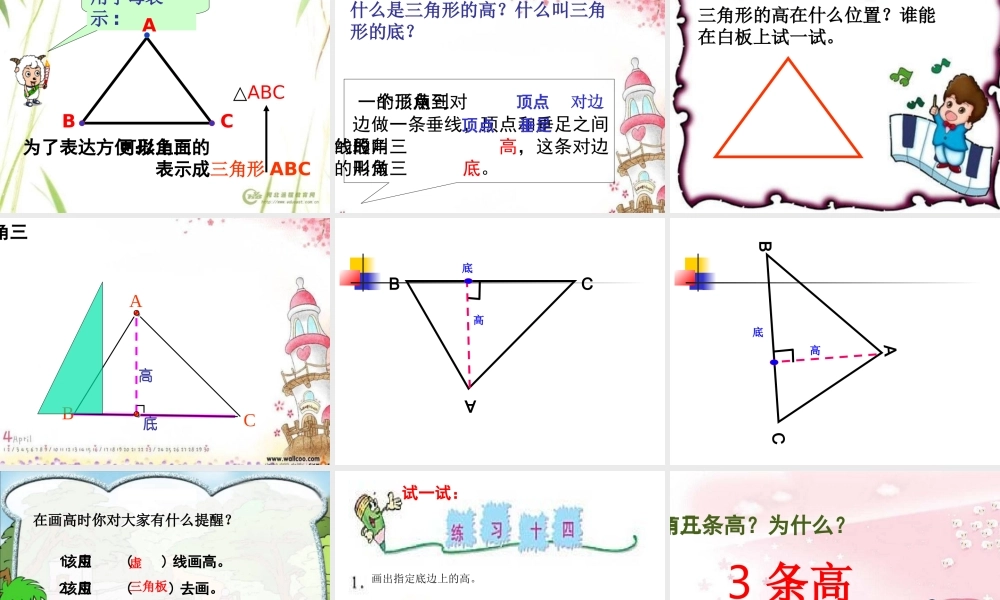 三角形的特性37