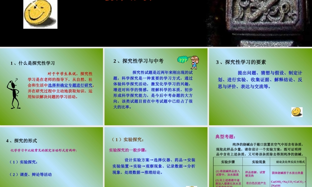 探究性试题解题探讨