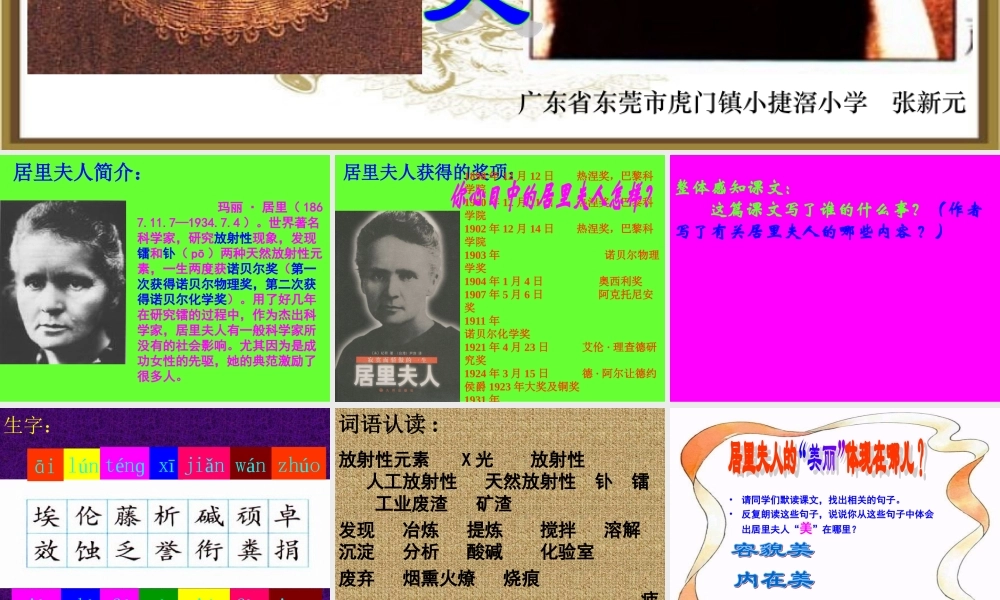 跨越百年的美丽 