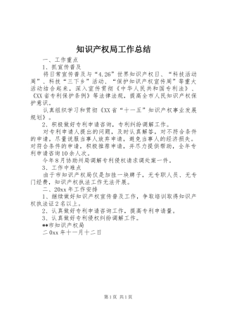 知识产权局工作总结_1