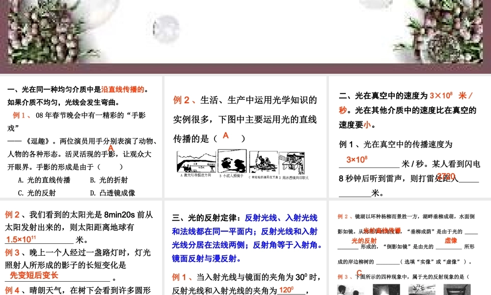 光的直线传播光的反射