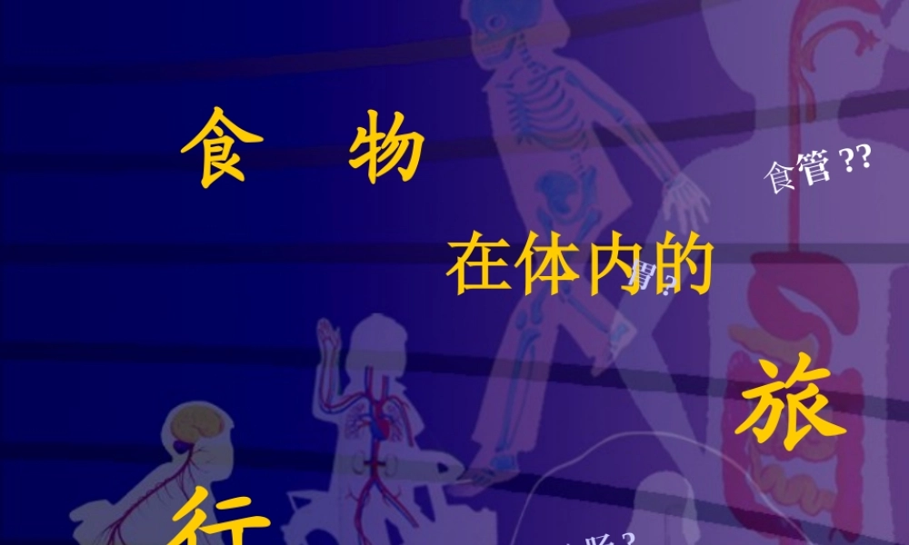 小学科学四上《食物在体内的旅行》课件