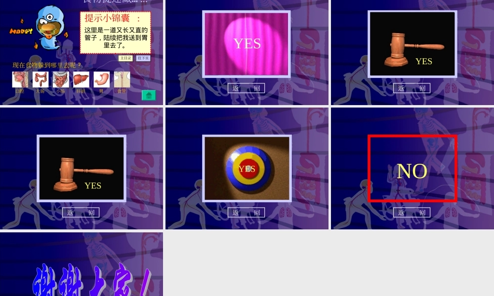 小学科学四上《食物在体内的旅行》课件