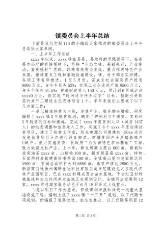 镇委员会上半年总结_1