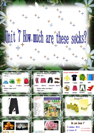 英语：七上Unit7HowmucharethesesocksSectionA第1课时（人教版）