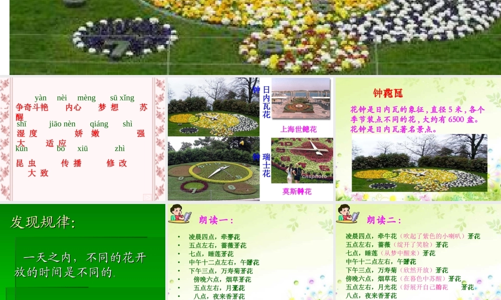 人教版小学语文三年级上册花钟PPT课件