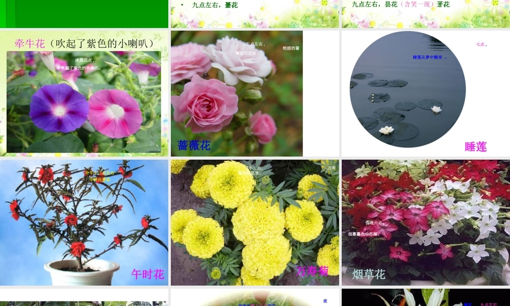 人教版小学语文三年级上册花钟PPT课件