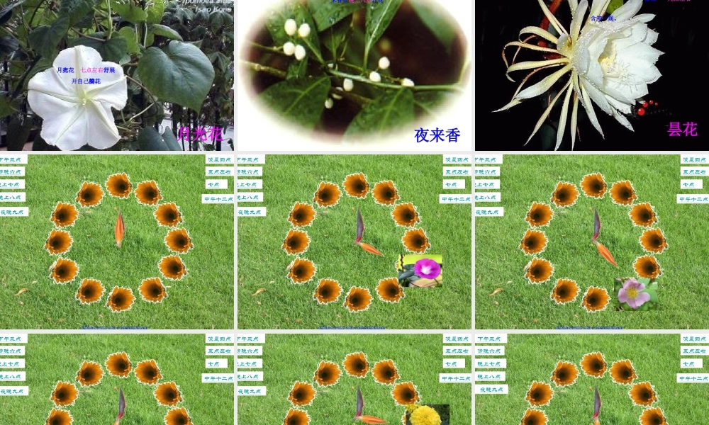人教版小学语文三年级上册花钟PPT课件