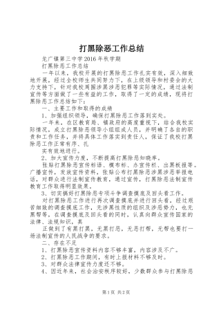 打黑除恶工作总结
