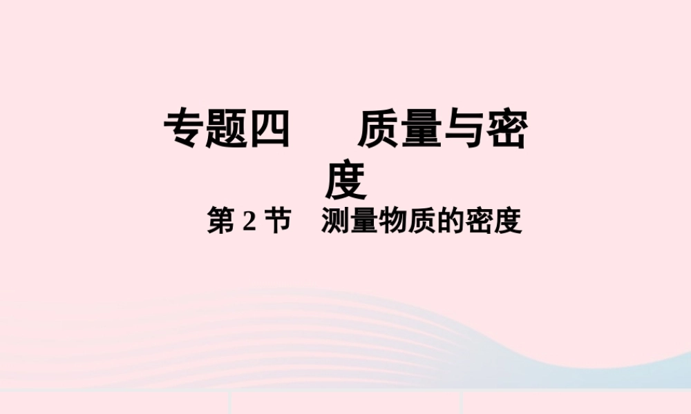 中考物理一轮复习 专题四 质量与密度 第2节 测量物质的密度课件