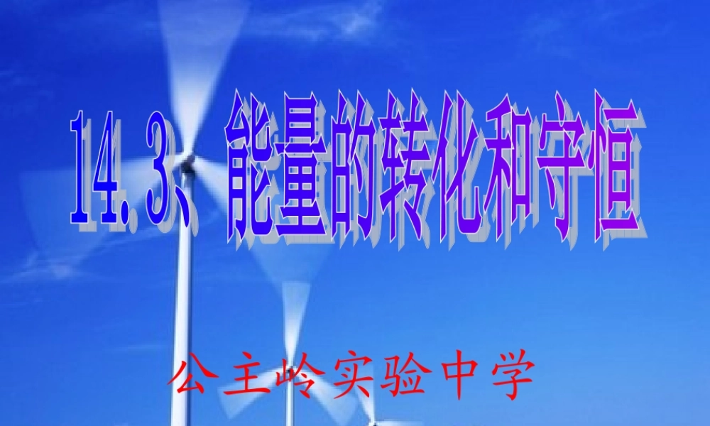 能量的转化和守恒 (3)