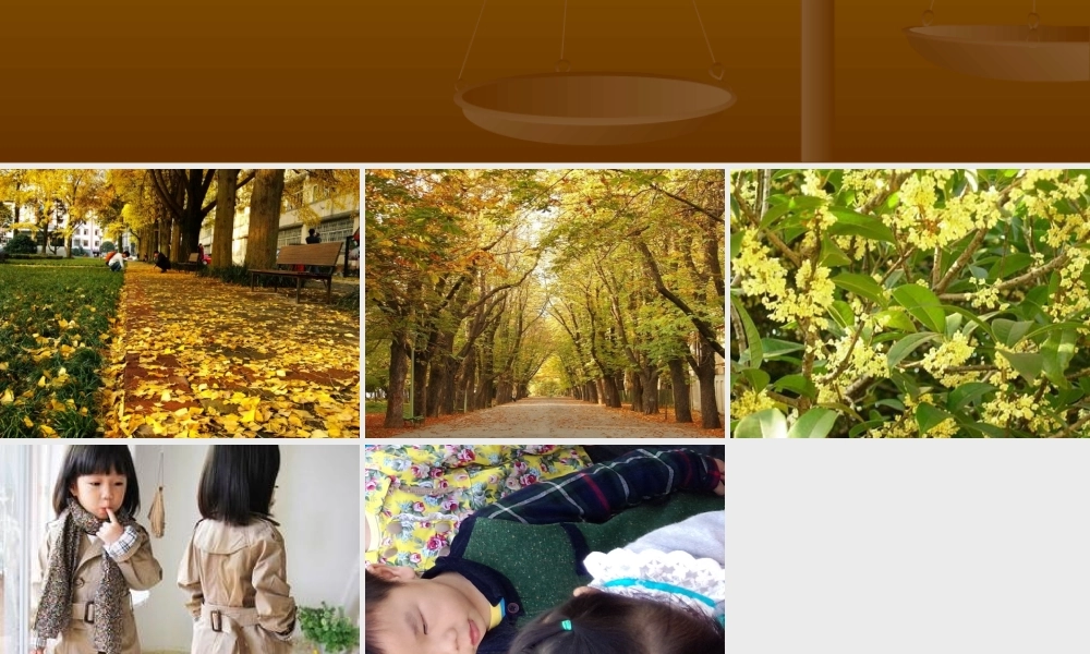 我和秋天有个约会