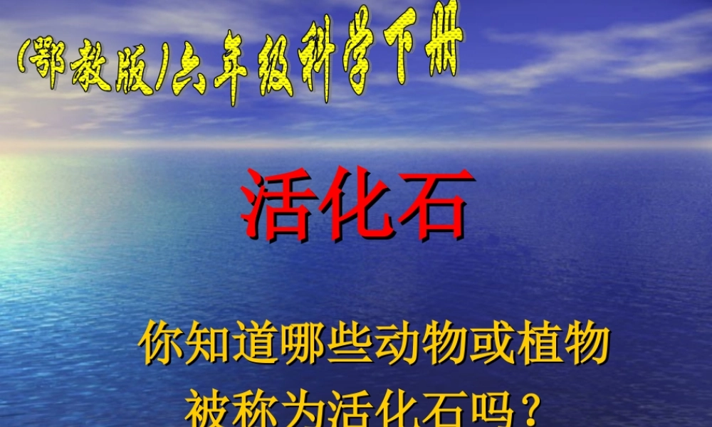 《活化石与马的进化》