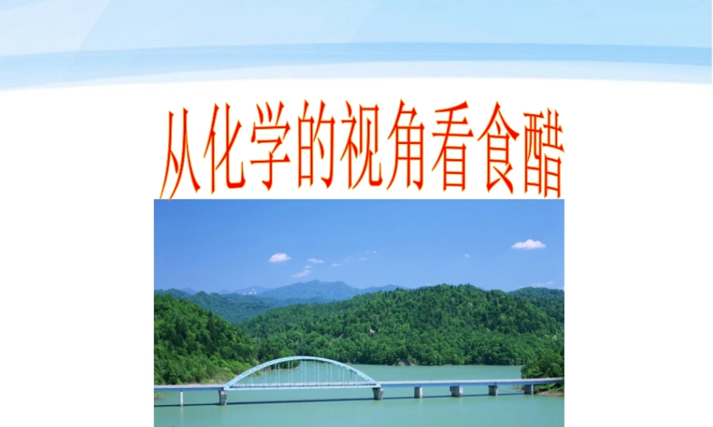 九年级化学 第一单元探究从化学的视角看食醋课件 鲁教版 课件