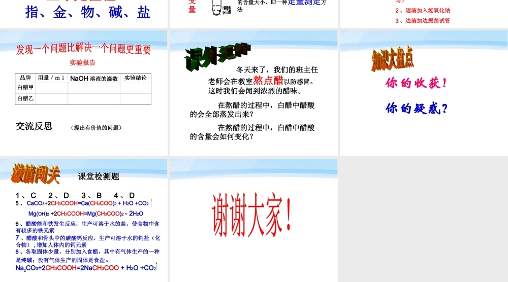 九年级化学 第一单元探究从化学的视角看食醋课件 鲁教版 课件