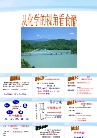 九年级化学 第一单元探究从化学的视角看食醋课件 鲁教版 课件