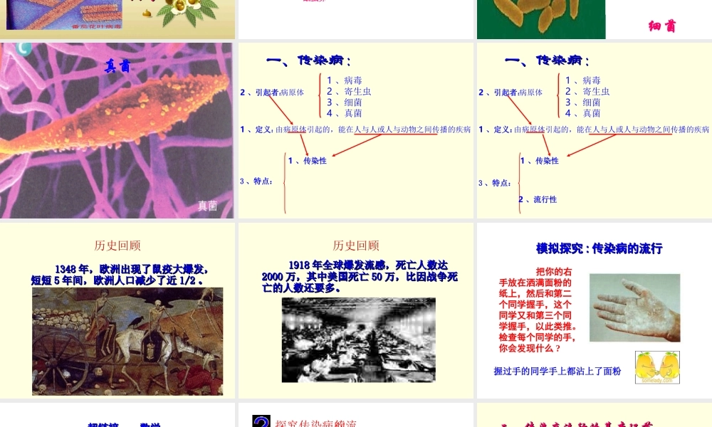 八年级生物下册_第一节传染病及其预防课件_人教新课标版