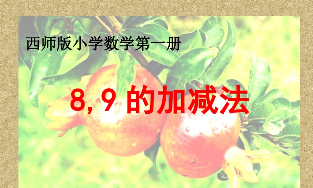 《8和9的加减法》