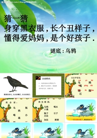 乌鸦喝水第一课时