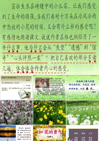 花的勇气完美版 