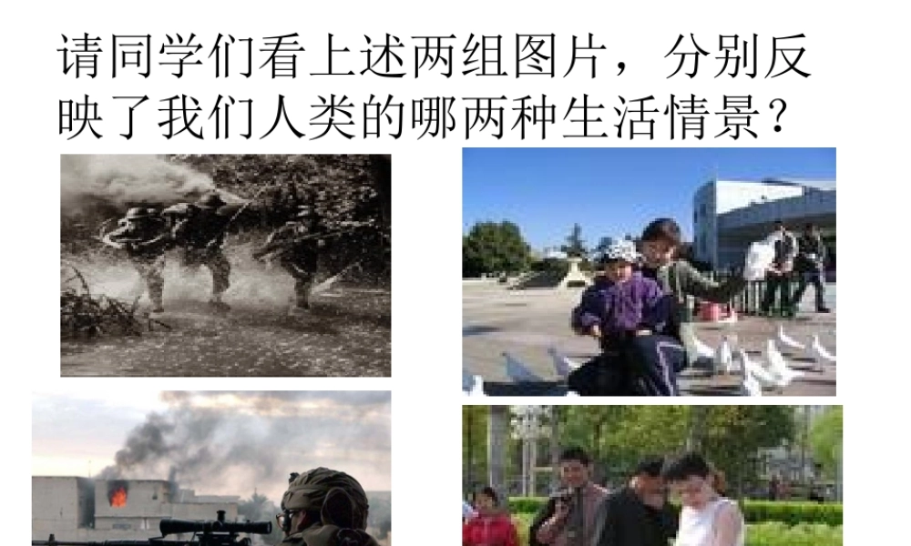 战争给人类带来了什么