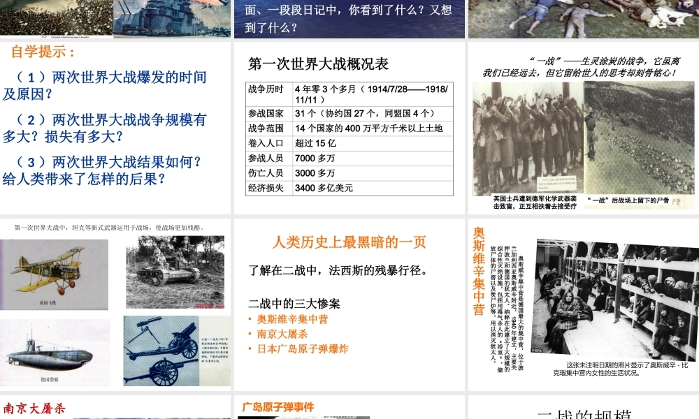 战争给人类带来了什么