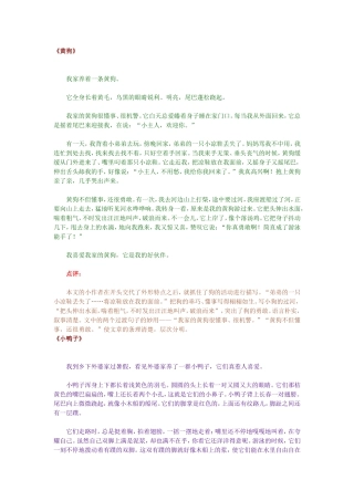人教版四年级上册第四单元习作范文