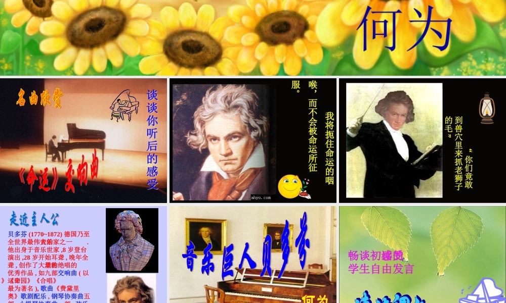 音乐巨人贝多芬课件