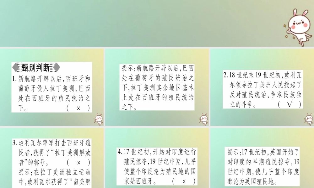 九年级历史上册 第5单元 资本主义的发展和社会矛盾的激化 第殖民地人民争取独立的斗争课件 中华书局版 课件