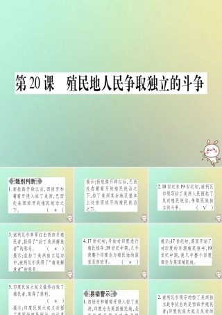 九年级历史上册 第5单元 资本主义的发展和社会矛盾的激化 第殖民地人民争取独立的斗争课件 中华书局版 课件
