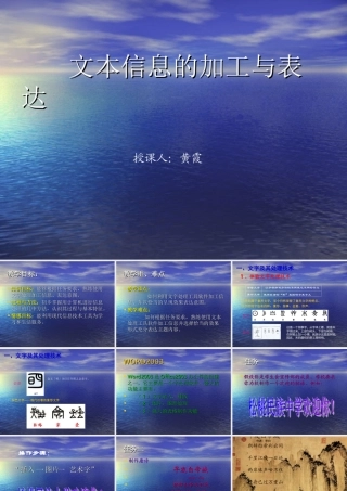 文本信息的加工与表达