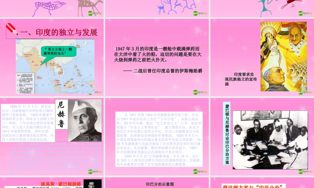 九年级历史下册 第12课亚非拉的奋起课件 新人教版 课件