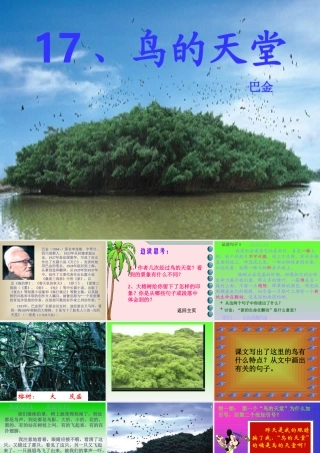 四年级《鸟的天堂》