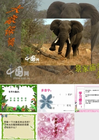 语文s版_小学三年级下册_《大象保姆》课件(PPT)