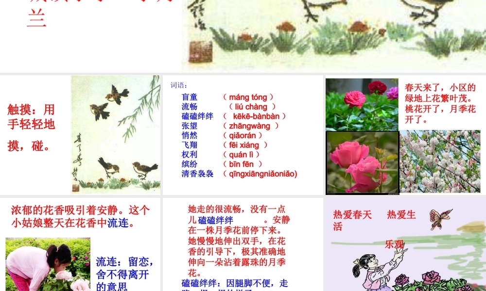 《触摸春天》课件