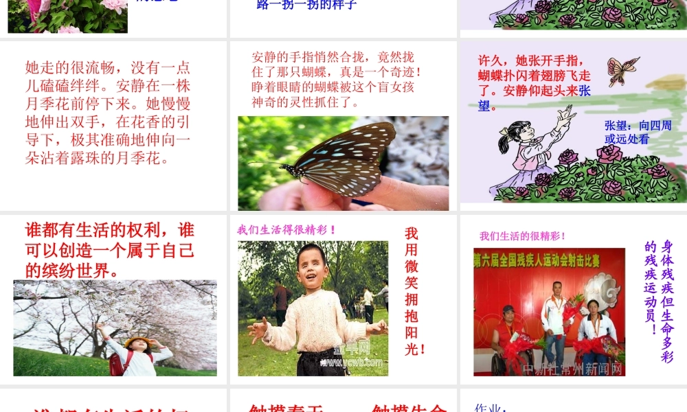 《触摸春天》课件