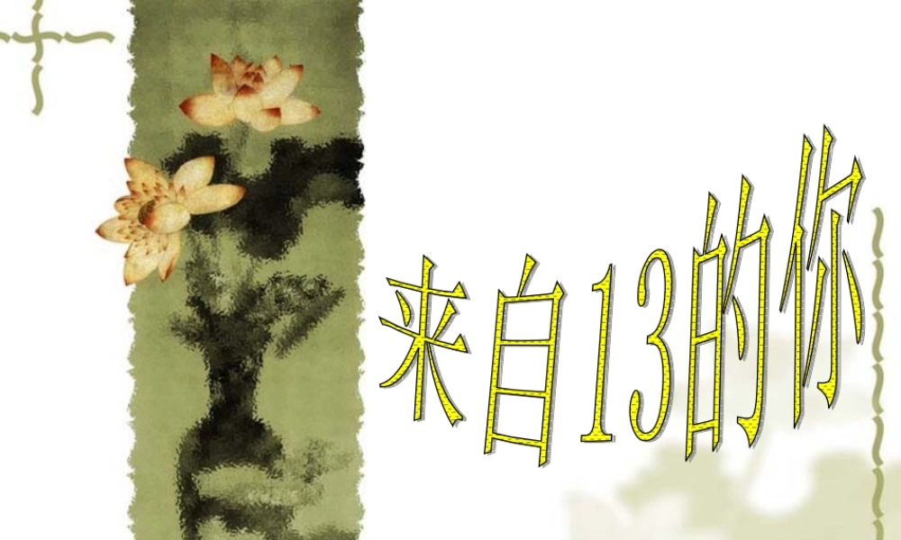 班会课——来自13的你