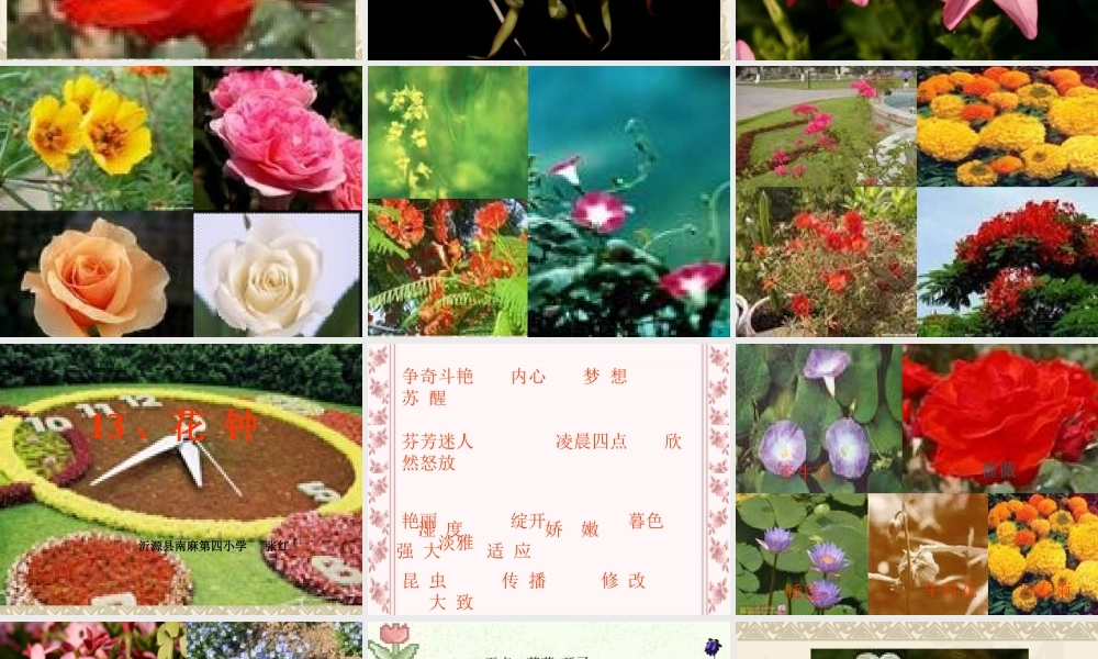 《花钟》课件(2)