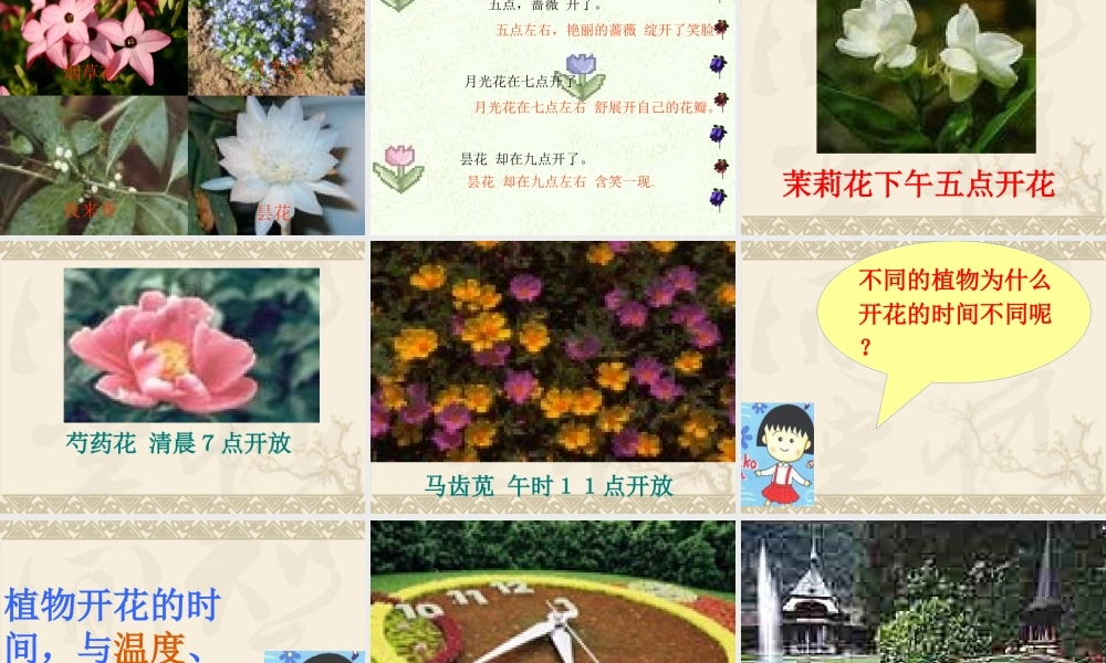 《花钟》课件(2)