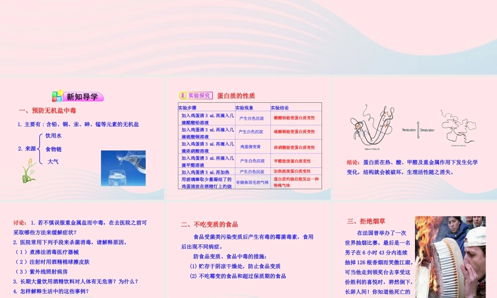 九年级化学全册 第四单元 化学与健康 第三节 远离有毒物质课件 鲁教版五四制 课件